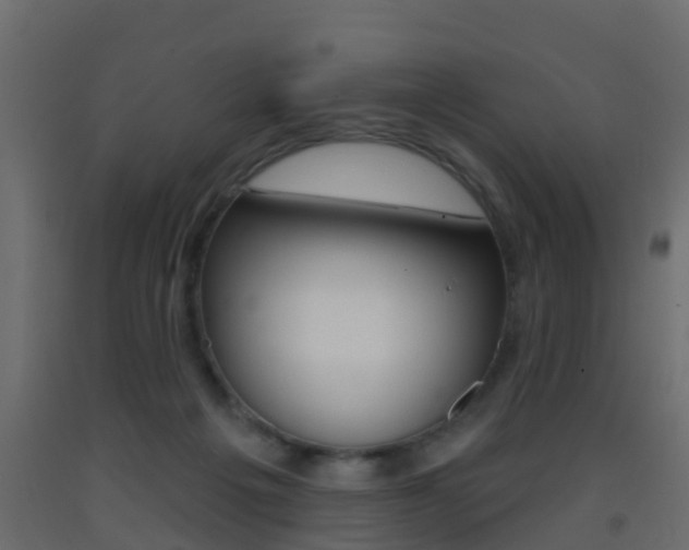 X0000093380217200710111354