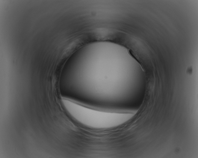 X0000093380219200710111354