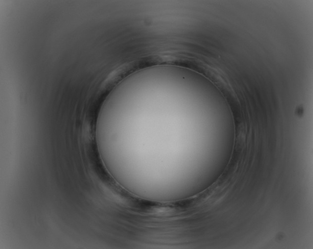X0000093380220200710111354