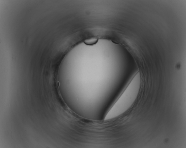 X0000093380221200710111354