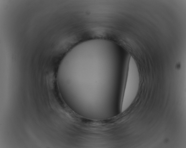 X0000093380223200710111354