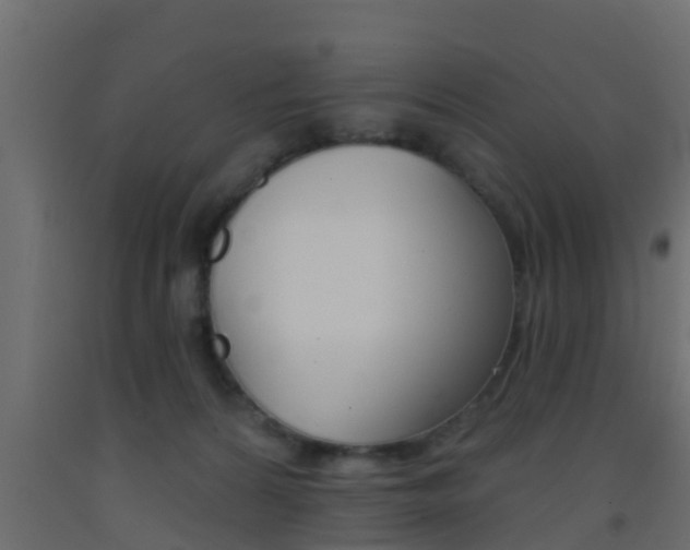 X0000093380224200710111354