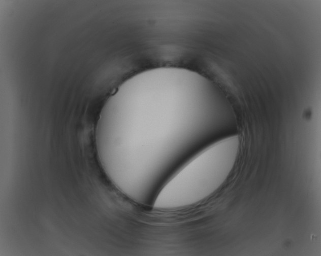 X0000093380225200710111354