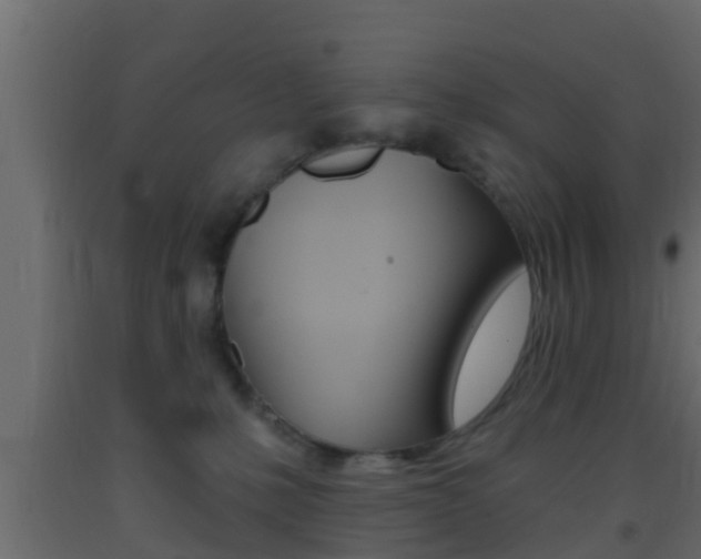 X0000093380231200710111353