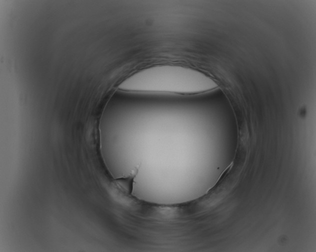X0000093380233200710111353