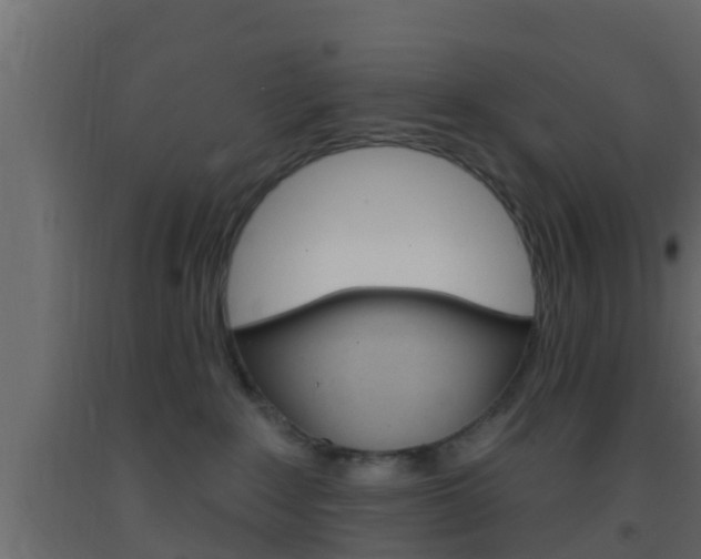 X0000093380235200710111353