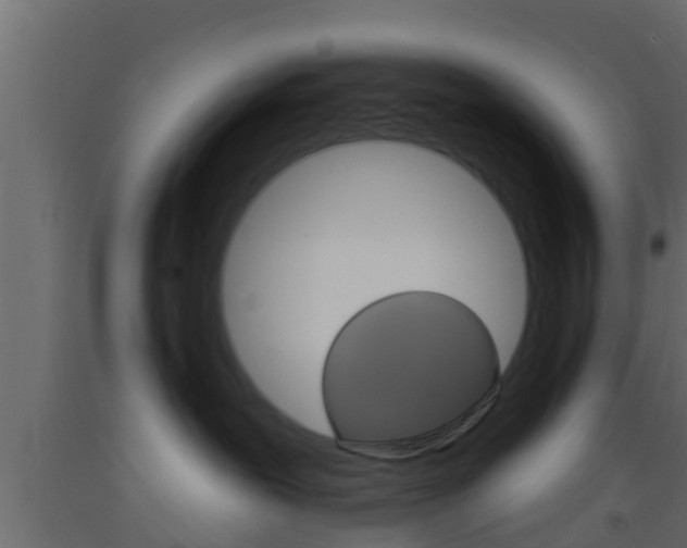 X0000093380239200710111353