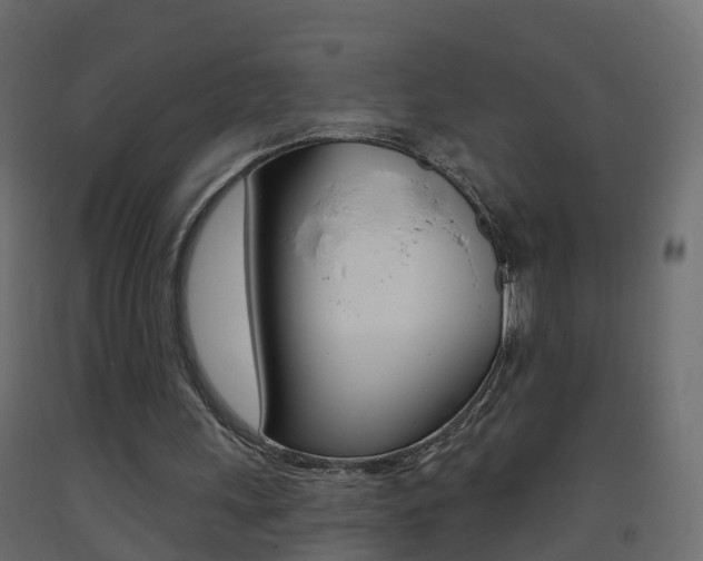 X0000093380243200710111353