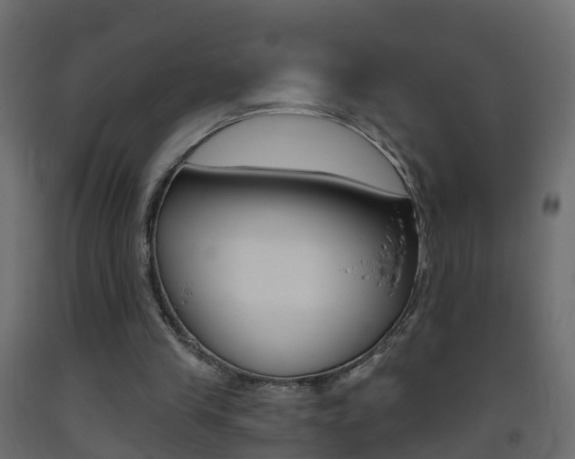 X0000093380245200710111353