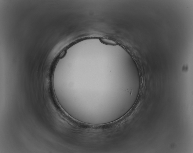 X0000093380247200710111353