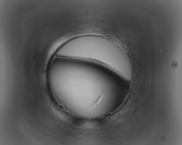 X0000093380248200710111353