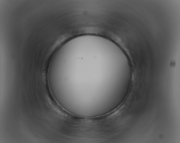 X0000093380249200710111353