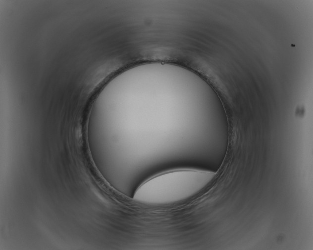 X0000093380251200710111353
