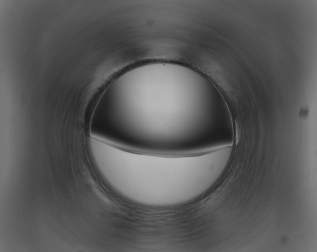 X0000093380252200710111353