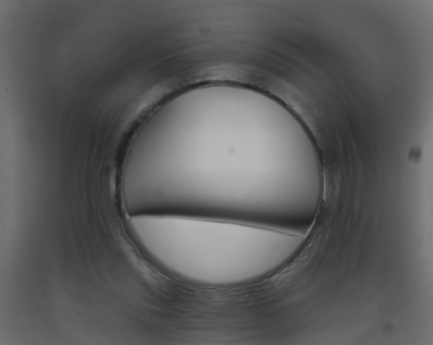 X0000093380253200710111353
