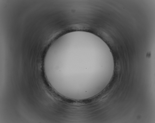 X0000093380255200710111353