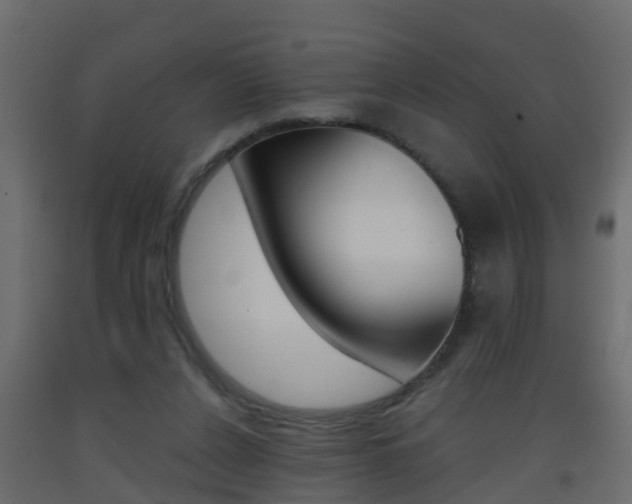 X0000093380256200710111353