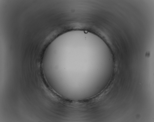 X0000093380257200710111353