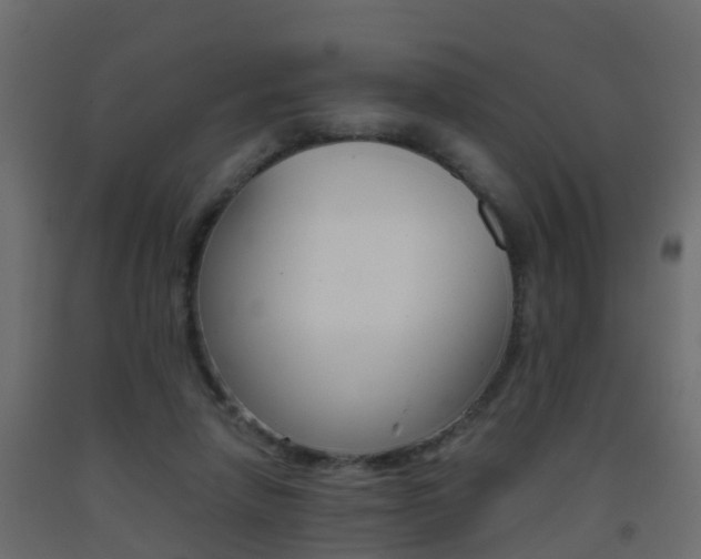 X0000093380258200710111353