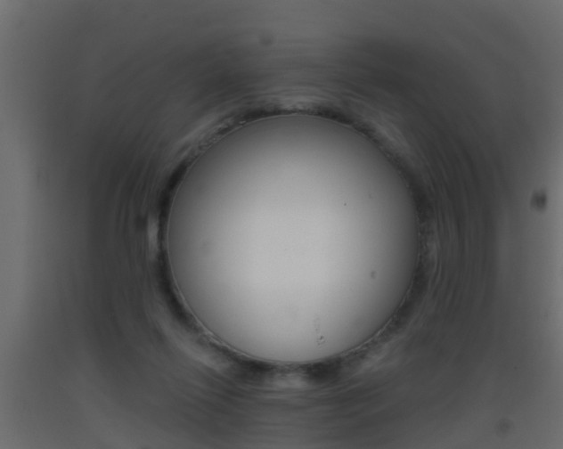 X0000093380262200710111353