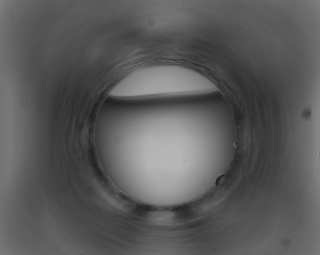 X0000093380266200710111353