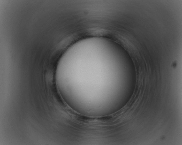 X0000093380268200710111353