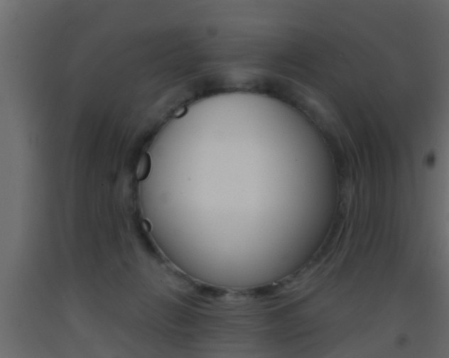 X0000093380270200710111353
