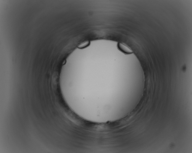 X0000093380275200710111353