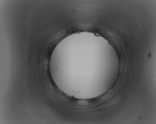 X0000093380279200710111353