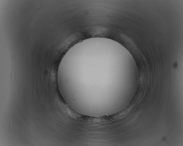 X0000093380282200710111353