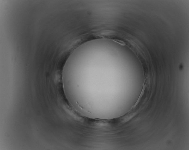 X0000093380284200710111353