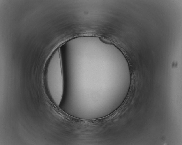 X0000093380290200710111353