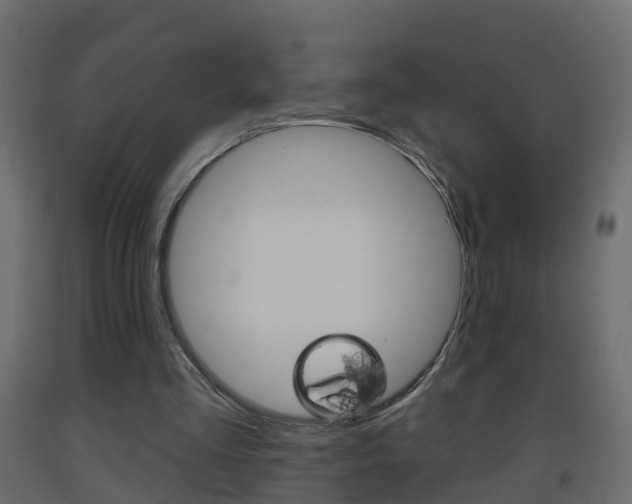 X0000093380293200710111353