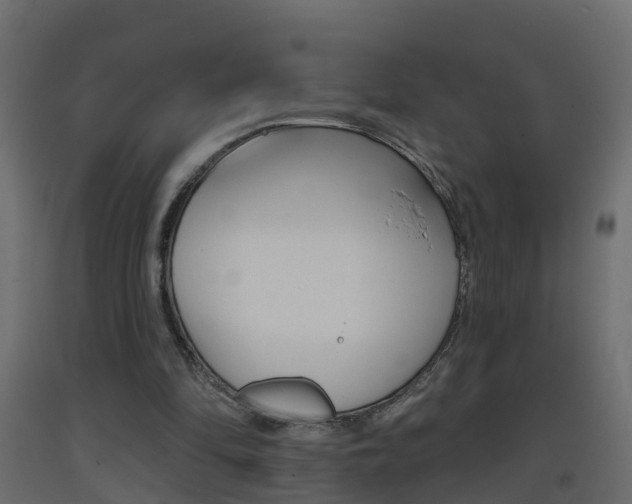 X0000093380294200710111353