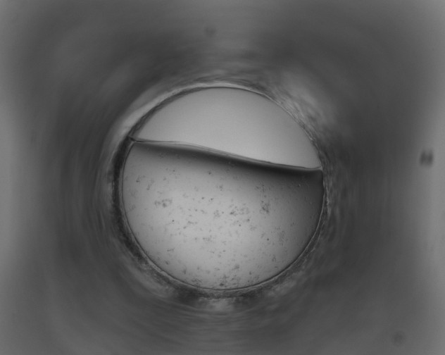 X0000093380295200710111353