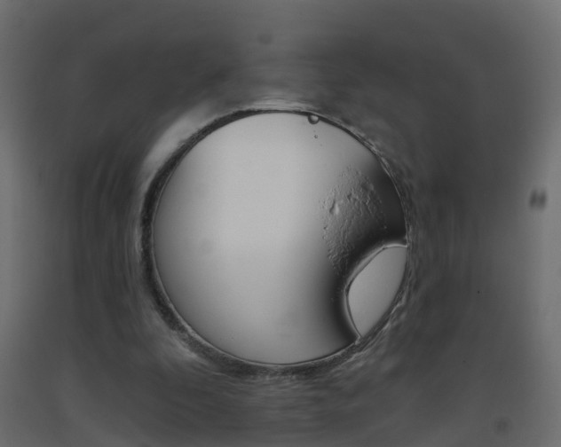 X0000093380296200710111353