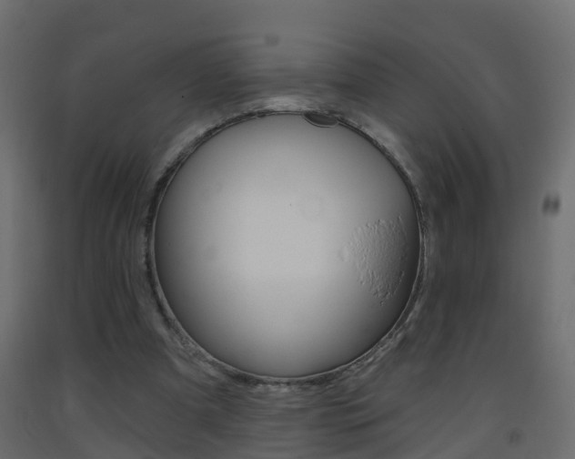 X0000093380297200710111353