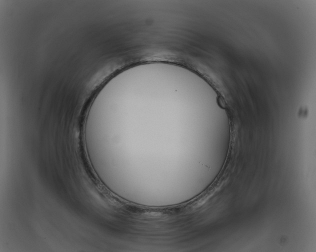 X0000093380298200710111353