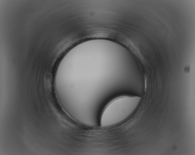 X0000093380300200710111353