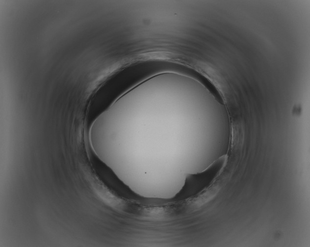 X0000093380301200710111353