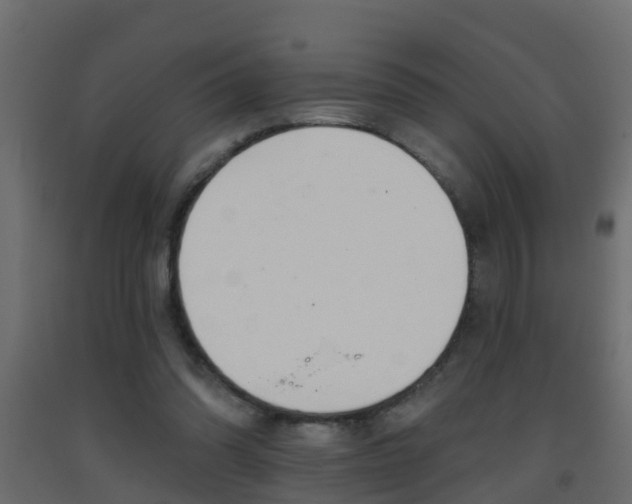 X0000093380302200710111353