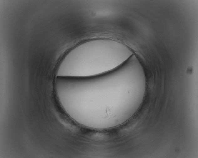 X0000093380303200710111353