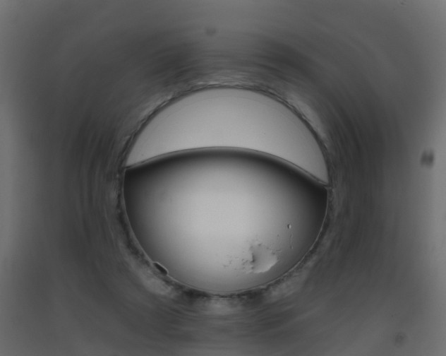 X0000093380305200710111353