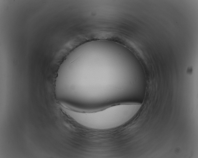 X0000093380307200710111353