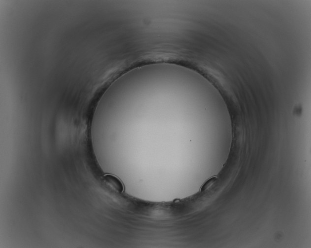 X0000093380308200710111352
