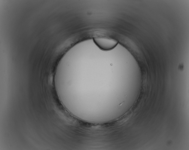 X0000093380310200710111352