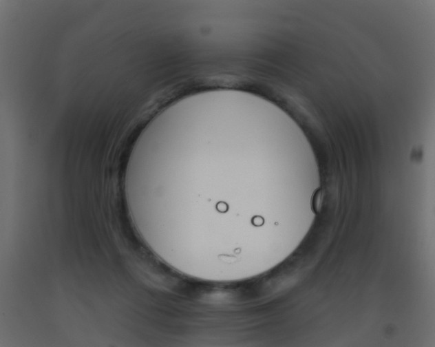 X0000093380312200710111352