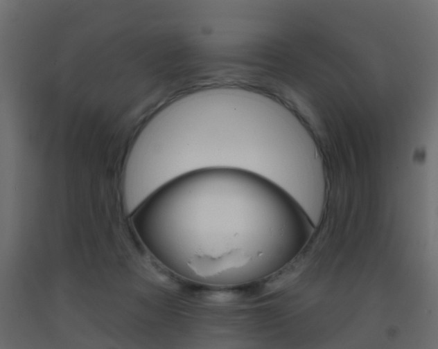 X0000093380313200710111352