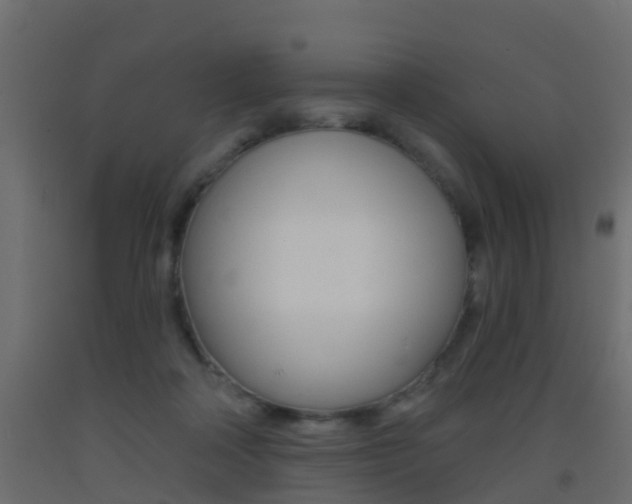 X0000093380314200710111352
