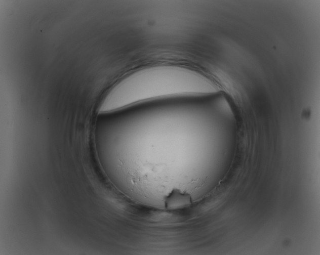 X0000093380315200710111352